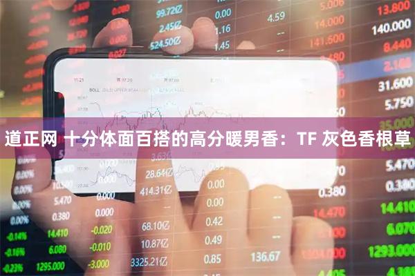 道正网 十分体面百搭的高分暖男香：TF 灰色香根草