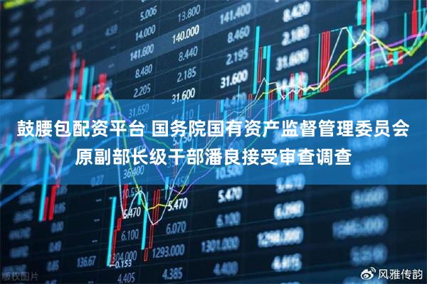 鼓腰包配资平台 国务院国有资产监督管理委员会原副部长级干部潘良接受审查调查