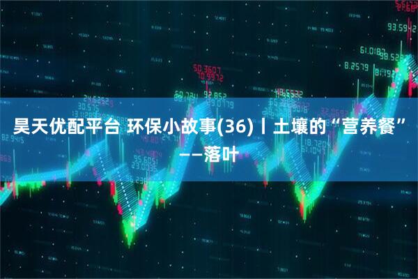 昊天优配平台 环保小故事(36)丨土壤的“营养餐”——落叶