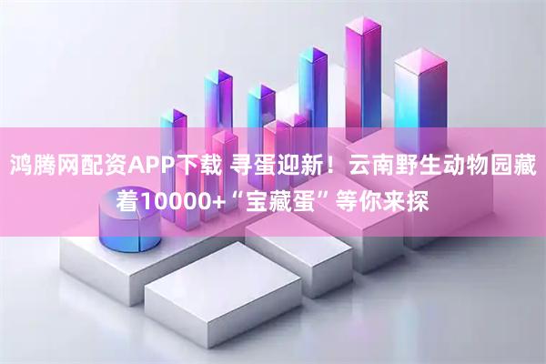 鸿腾网配资APP下载 寻蛋迎新！云南野生动物园藏着10000+“宝藏蛋”等你来探
