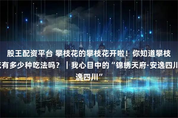股王配资平台 攀枝花的攀枝花开啦！你知道攀枝花有多少种吃法吗？｜我心目中的“锦绣天府·安逸四川”