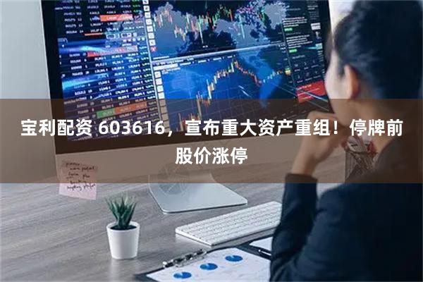宝利配资 603616，宣布重大资产重组！停牌前股价涨停